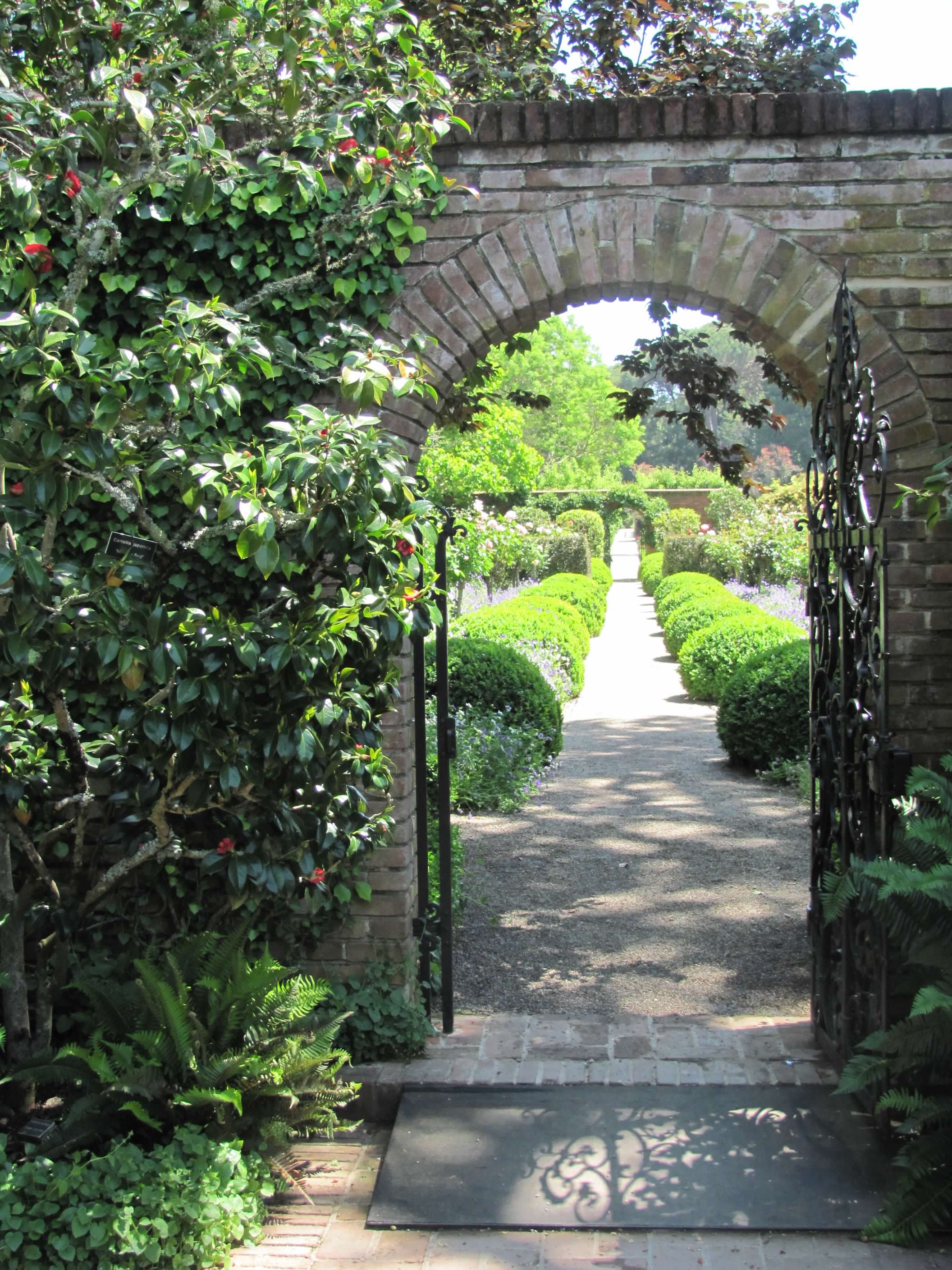 Filoli Garden Path