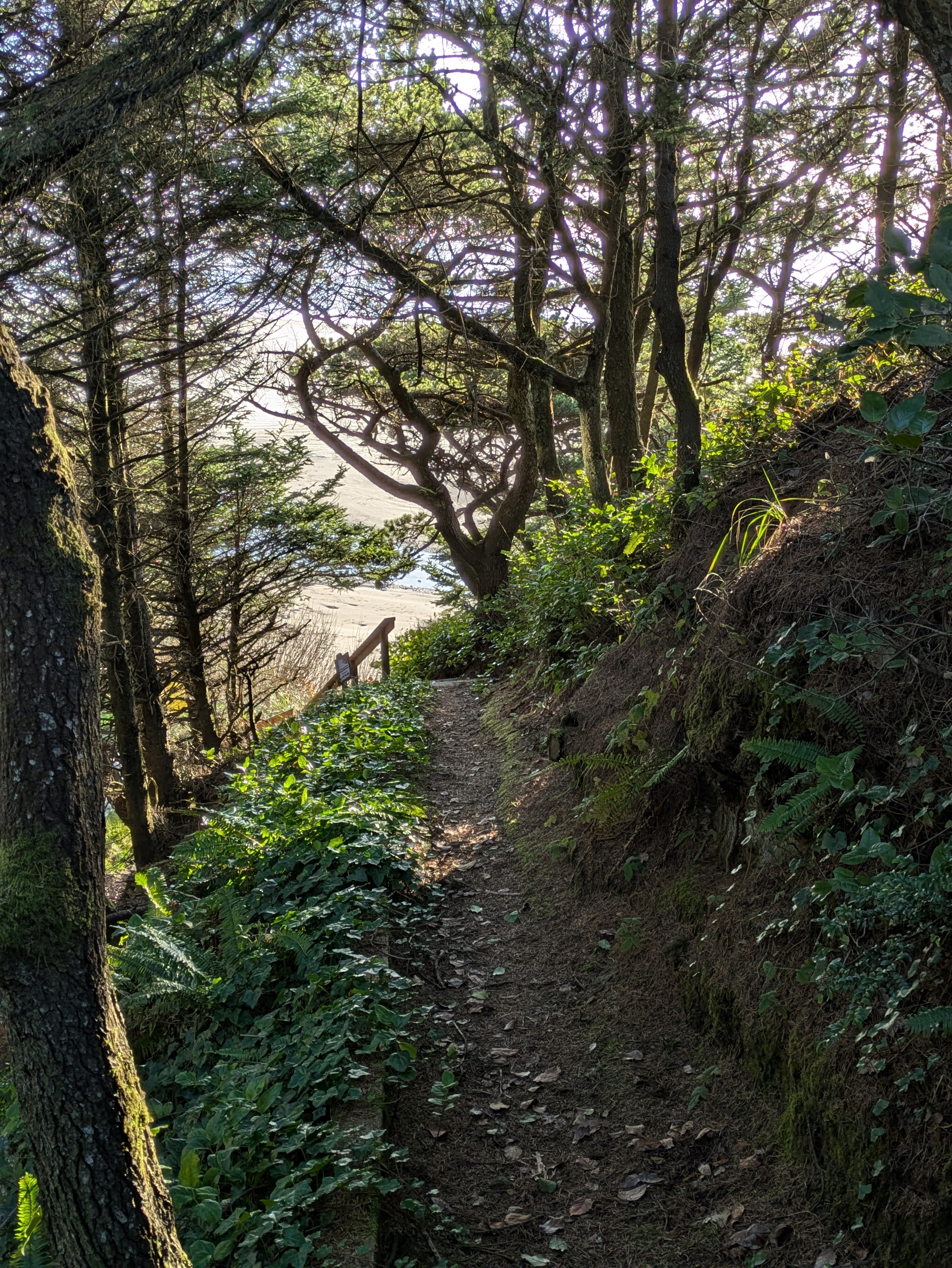 Path to Agate Beach