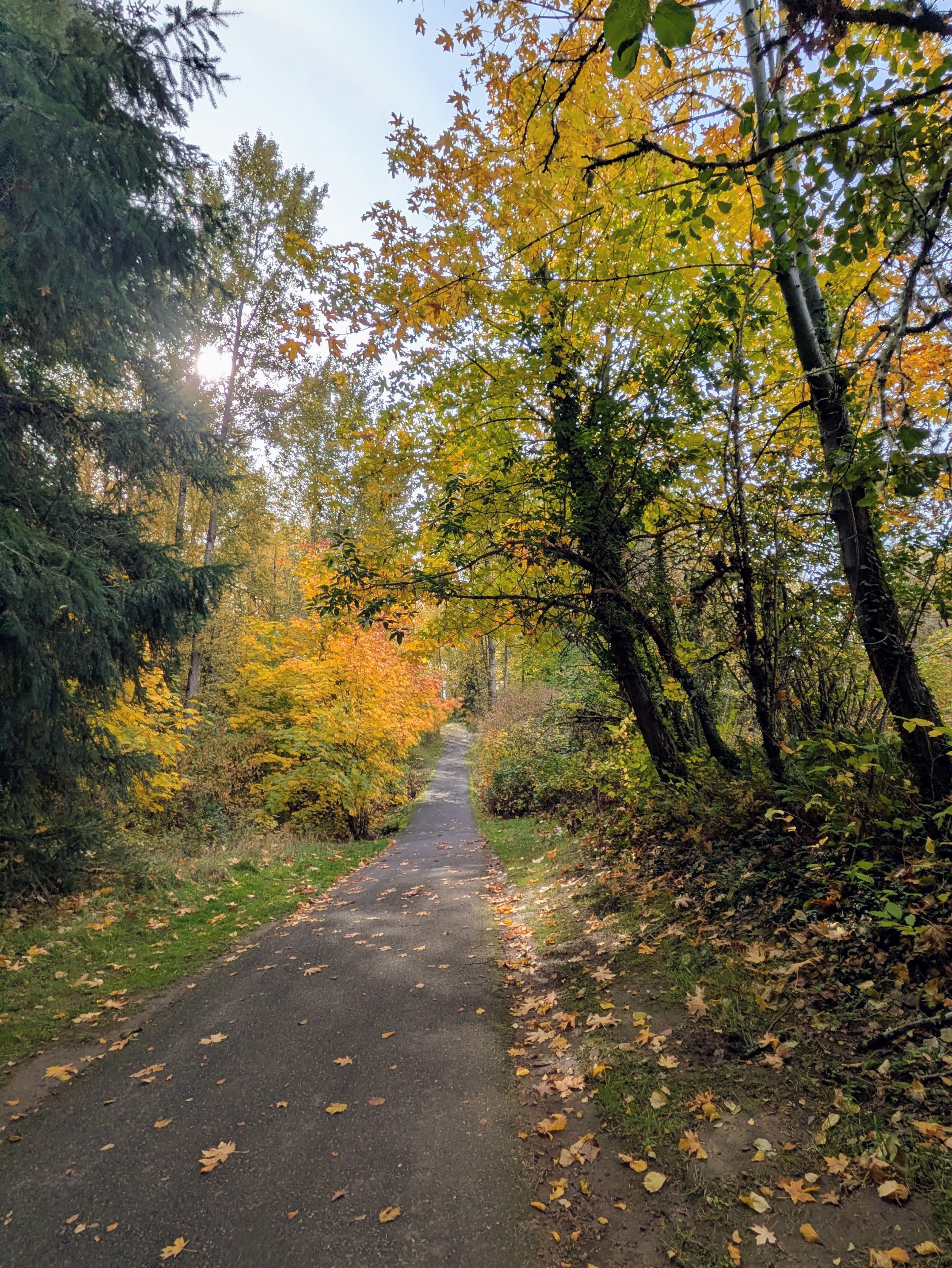 Minto-Brown Island Bike Path